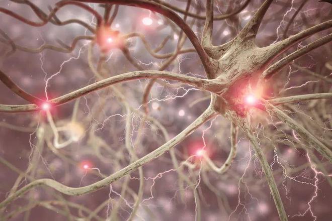為什么總是會把植物神經(jīng)紊亂、焦慮癥和抑郁癥認(rèn)錯呢？
