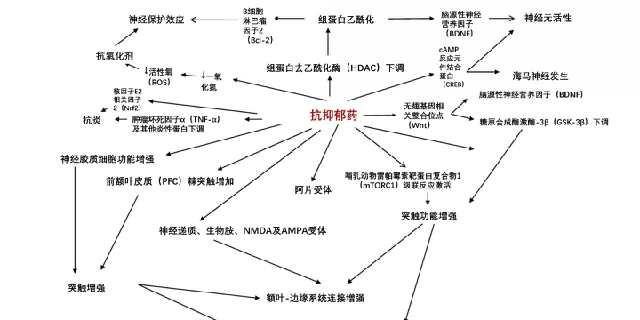 抗焦慮抑郁藥物有哪些藥_抗焦慮抑郁藥物多久見(jiàn)效_抗焦慮抗抑郁首選藥物