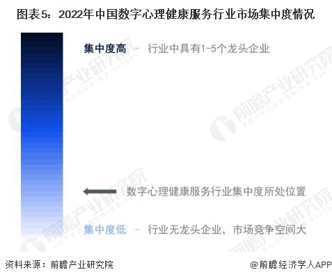 圖表5：2022年中國數(shù)字心理健康服務(wù)行業(yè)市場集中度情況