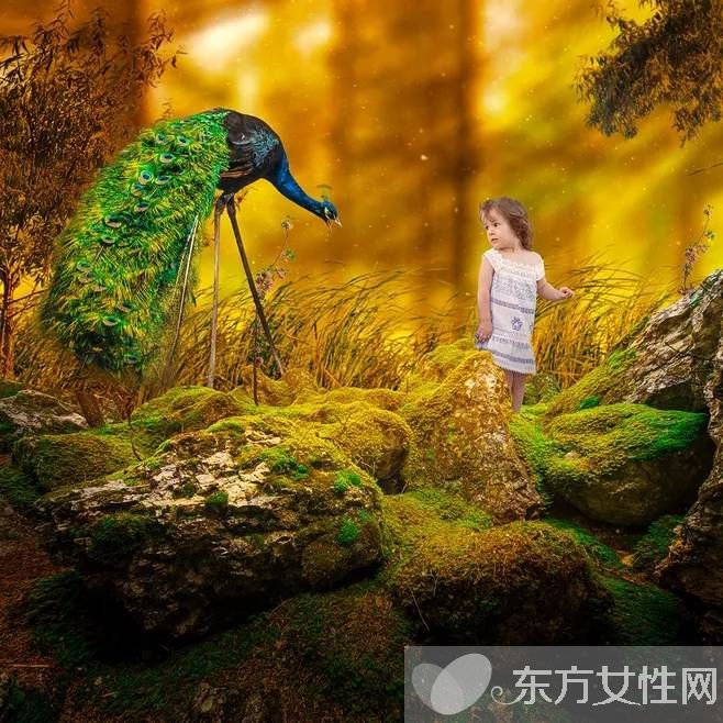 好勝心太強怎么做心理疏導_做好心理疏導工作_心理疏導強化法